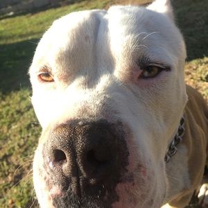 Meet your Posher, Deanna